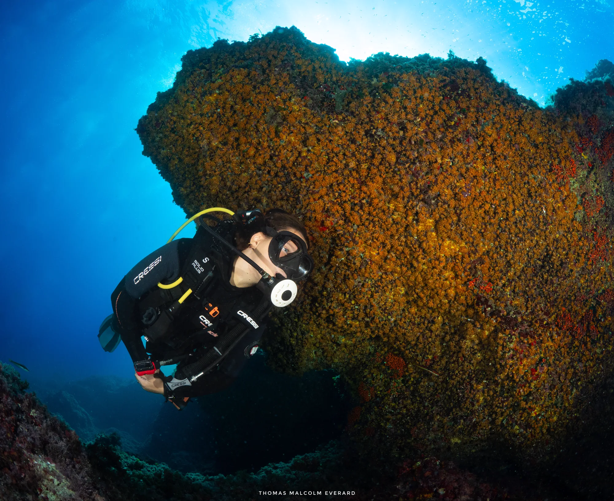 Diver exploring the reef