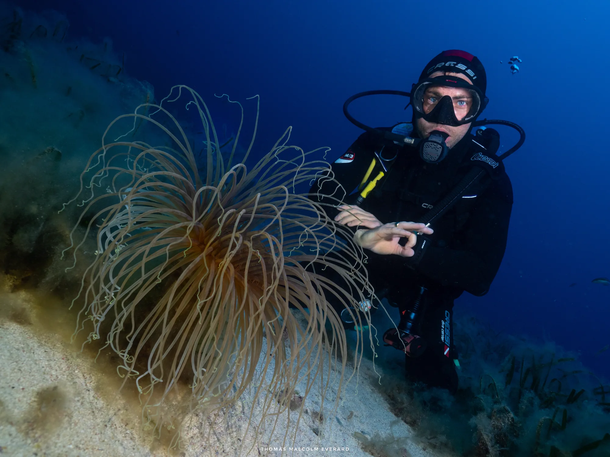 Scuba training dive